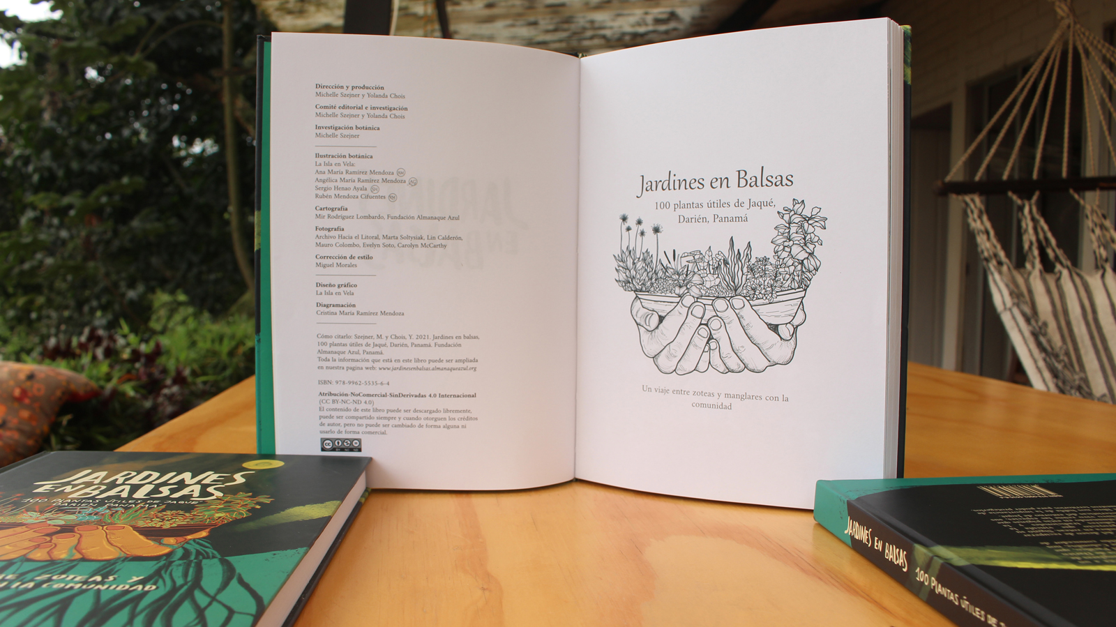 Jardines en Balsas - Vista 5